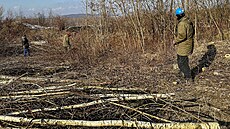 Zam�stnanci podniku Diamo zahájili p�ípravné práce na stavb� sarkofágu na hald�...