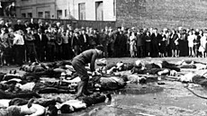 Lidé p�ihlí�í masakru �id� v litevském m�st� Kaunas. (�erven 1941)