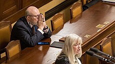Ministr zdravotnictví Vlastimil Válek p�i projevu lidovecké poslankyn� Romany...