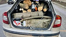 Sloven�tí policisté zastavili �kodu Octavii p�etí�enou d�evem nedaleko obce...