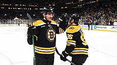 Jakub Lauko a Vinni Lettieri si plácají po výh�e Bostonu.