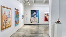 Výstava v hlavních p�ízemních sálech Musea Kampa p�edstavuje �ást sbírky Wigam...