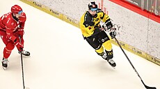 Litvínovský úto�ník Nicolas Hlava se sna�í dostat puk z dosahu t�ineckého...