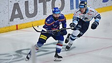 Bud�jovický Milan Gula� a liberecký David Aubrecht se �enou za pukem.