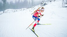 Tomá Mikyska na trati smíené tafety na Pokljuce.