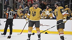 Tomá Hertl slaví gól proti Los Angeles s parákem Markem Stonem.