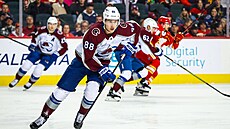 Úto�ník Colorada Martin Ne�as vede puk b�hem utkání proti Calgary.