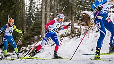 Tereza Voborníková b�í zkrácený vytrvalostní závod v Pokljuce.