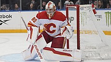 Dan Vlada v brance Calgary.