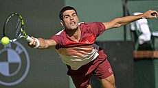 Carlos Alcaraz se natahuje po mí�ku v semifinále turnaje v Indian Wells.