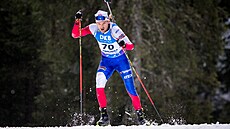 Adam Václavík ve vytrvalostním závod na Pokljuce.