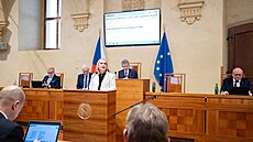 Ministryně obrany Jana Černochová v Senátu (19. března 2025)