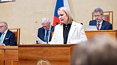 Ministryně obrany Jana Černochová v Senátu (19. března 2025)