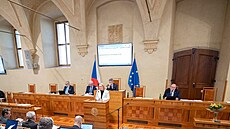 Ministryně obrany Jana Černochová v Senátu (19. března 2025)