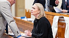 Ministryně obrany Jana Černochová v Senátu (19. března 2025)