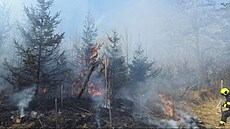 U poáru lesa na Hlinecku zasahovalo pt hasiských jednotek. (10. bezna 2025)