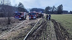 U poáru lesa na Hlinecku zasahovalo pt hasiských jednotek. (10. bezna 2025)