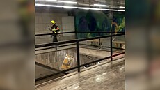 ilustra�ní snímek