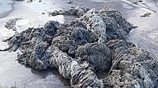 Potrubní monstrum ucpalo kanalizaci v australském Perthu. (17. b�ezna 2025)