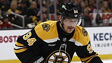 Jakub Lauko v barvách Boston Bruins