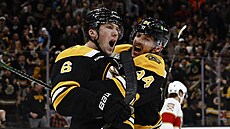 Mason Lohrei (6) a Jakub Lauko z Boston Bruins slaví gól proti Florida Panthers.