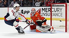Luká� Dostál (1) z Anaheim Ducks inkasuje v zápase s Washington Capitals, gól...