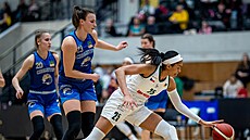 Peyton Whittedová z Ostravy krotí mí�, dorá�í na ni Kate�ina Roko�ová z...