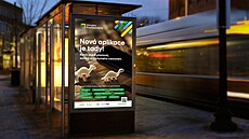 Virtuální kartu Plze�ského kraje pou�ívají cestující ji� n�kolik let. Nová...