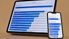 iPad vs. iPhone