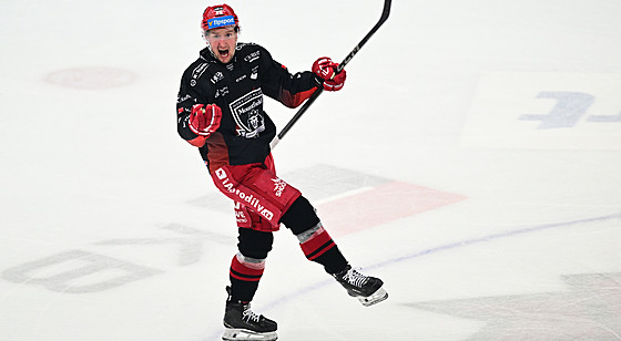 Hradecký Ale� Jergl slaví trefu proti Mladé Boleslavi.