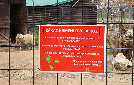 Také v hodonínské zoologické zahrad� te� platí stejn� jako jinde zákaz krmení...