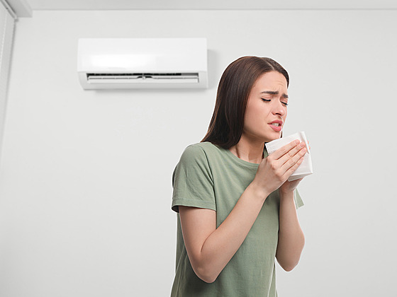 Hrdina v boji proti alergiím na jedenáct? Klimatizace!