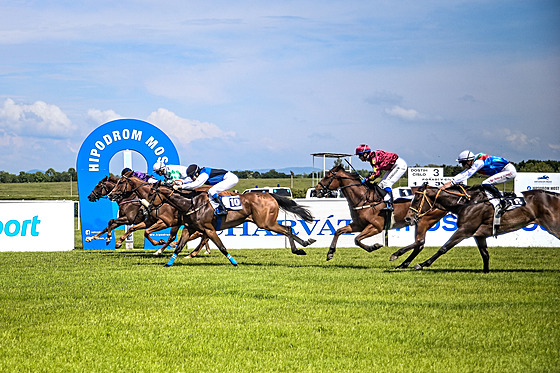 HIPODROM MOST chystá pro leto�ní sezonu �adu novinek