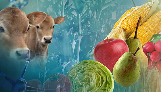 Neviditelné nebezpe�í v�ude kolem nás