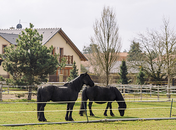 ilustra�ní snímek