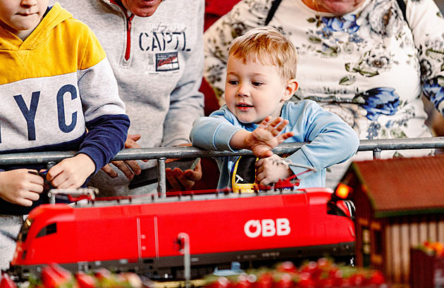 Mašinky, námořní bitvy i letadla. Olomouckou Floru ovládají modeláři
