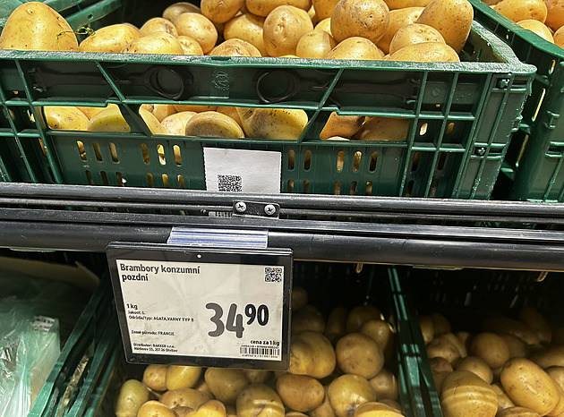 Brambory jsou levnější než loni, zdražení se nečeká, hlásí Svaz