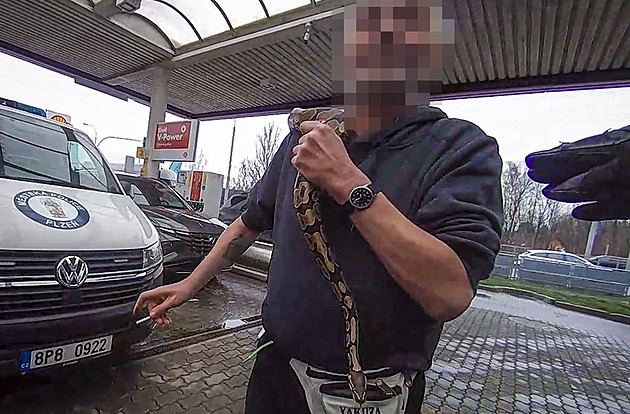 Opilec d�sil lidi a obsluhu �erpací stanice v Plzni na Karlovarské hadem kolem...