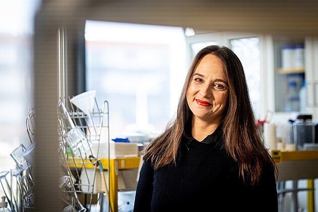 Ceny Wernera von Siemens za lo�sk� rok odm�nily nejv�t�� talenty z �ad...