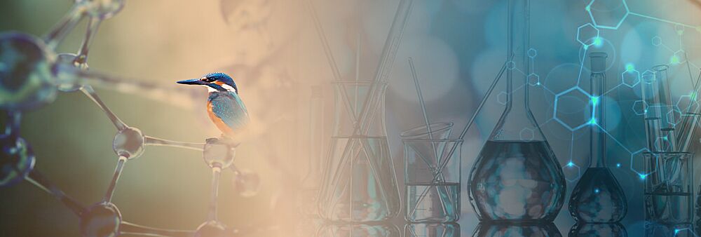 Neviditeln� nebezpe�� v�ude kolem n�s