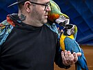 V hale tenisov�ho are�lu Cibulka se sch�z� chovatel� papou�k�. (21. b�ezen 2025)