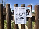 I Zoo T�bor kv�li riziku zavle�en� n�kazy slintavkou a kulhavkou zav�ela...