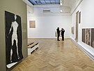 Ji�� �igut vystavoval sv� d�la na rozs�hl� v�stav� s n�zvem Minul� a budouc�...