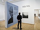 Ji�� �igut vystavoval sv� d�la na rozs�hl� v�stav� s n�zvem Minul� a budouc�...