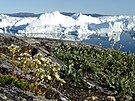 Fjord ledovce Jakobshavn Isbræ znm svou extrmn rychlost pohybu a...