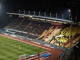 Choreo slávistických fanouk na Julisce.