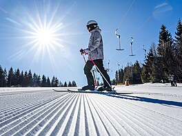 Za�alo astronomické jaro. Dne�ní den p�inesl slune�né po�así, teplotní rekordy...