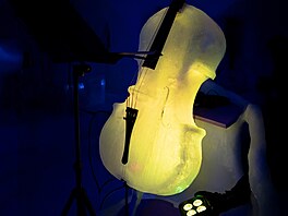 Paradice Music neboli hudba ráje má své jméno naprosto od�vodn�né. Barevné...