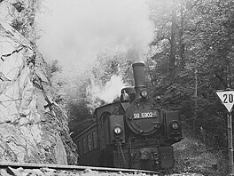 Prázdniny v roce 1985 a poho�í Harz. �lo o m�síc strávený s kamarádem v NDR....