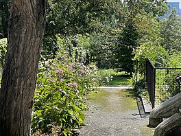 Jitka Vágnerová jako jeden z porotc� sout�e Zahrada roku tuto pra�skou zahradu...